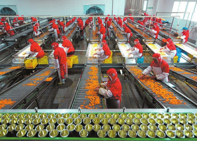 Seafood & Agriculture